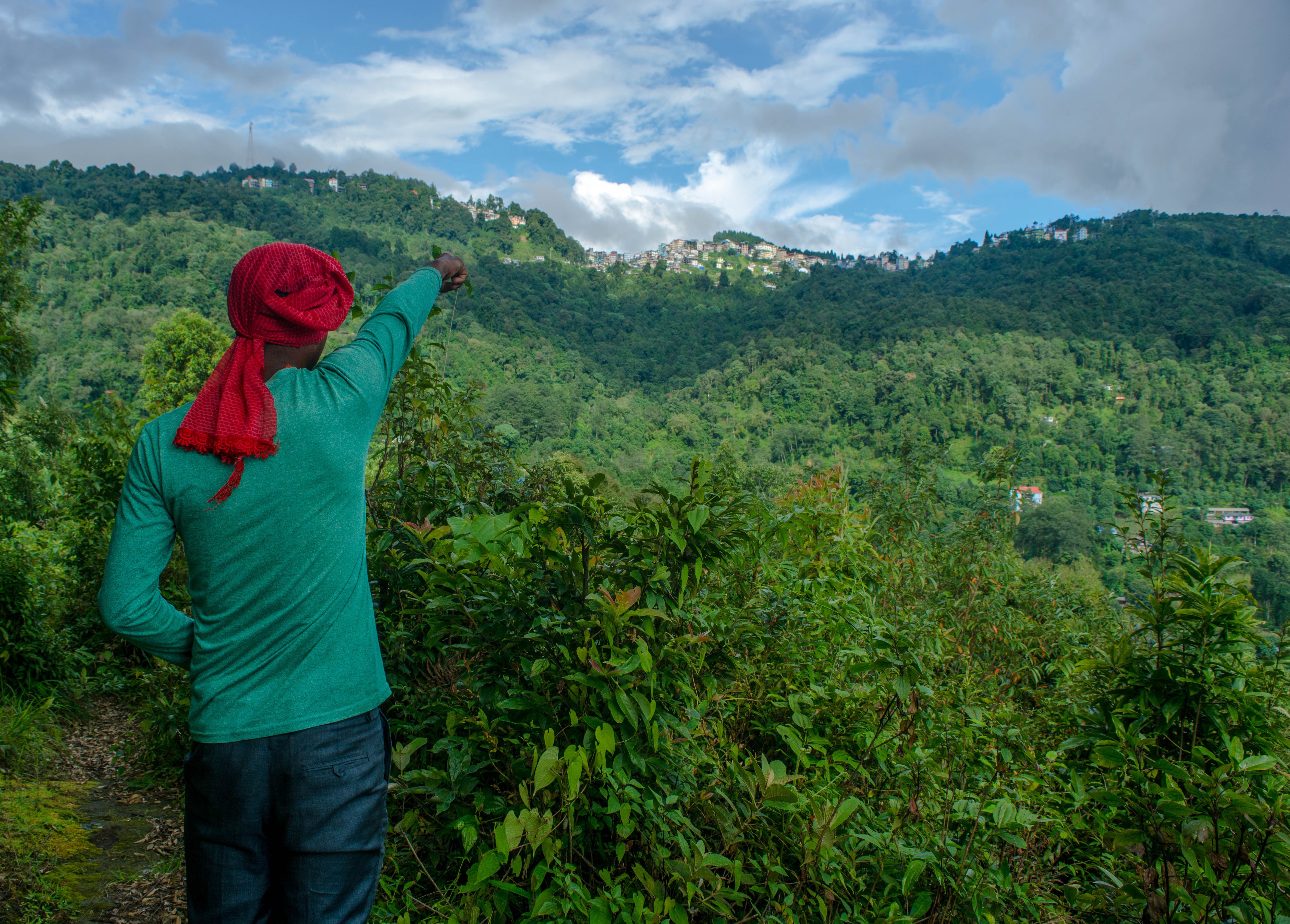 Auf in den Nordosten nach Sikkim reisen!
