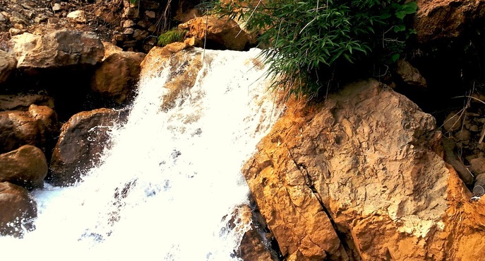 Places to visit in Rishikesh