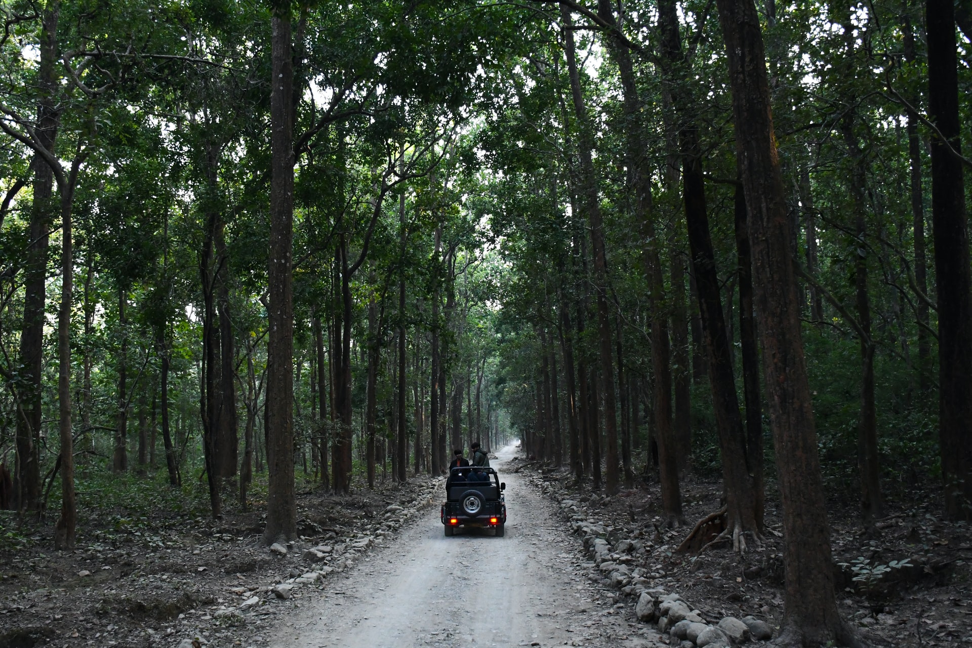 Best national parks to visit in India