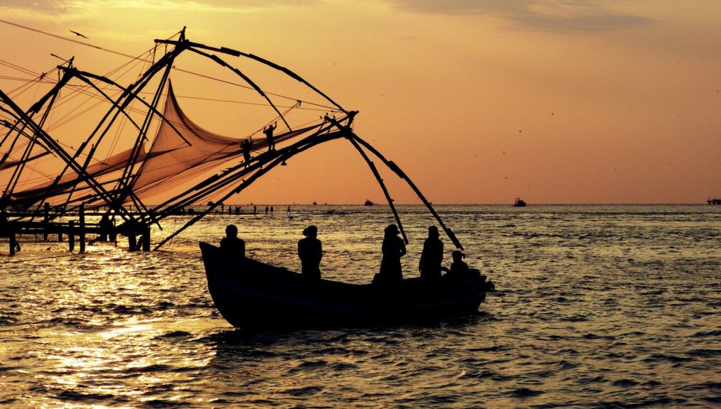 things to do in kerala