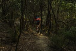 Activities to do in Orchha, Orchha Wildlife Sanctuary