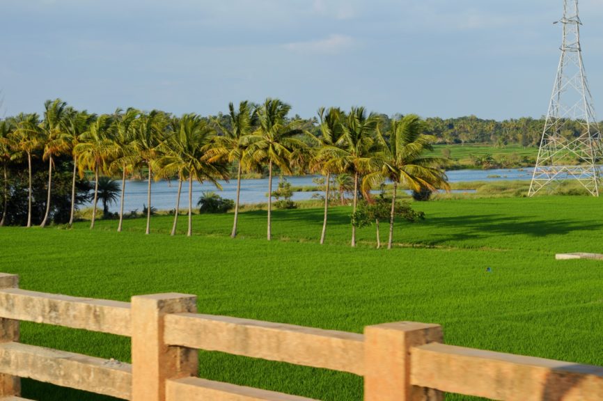 Erkundet Südindien im Mai und Juni mit India Someday
