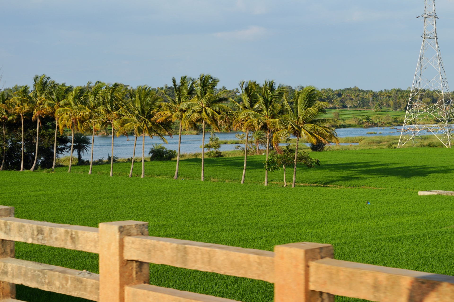 South India in May and June