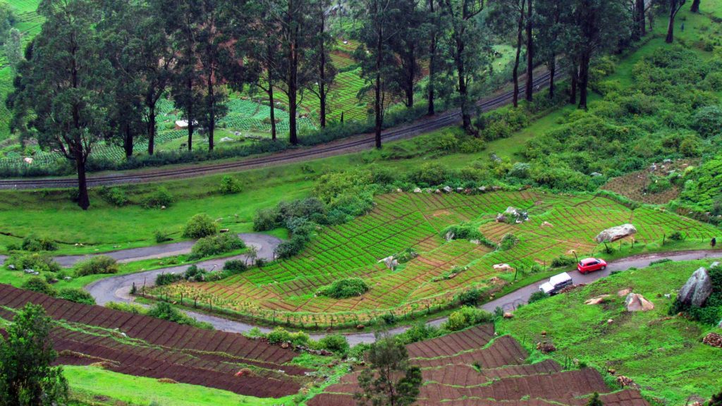 7 Best Things to do in Ooty