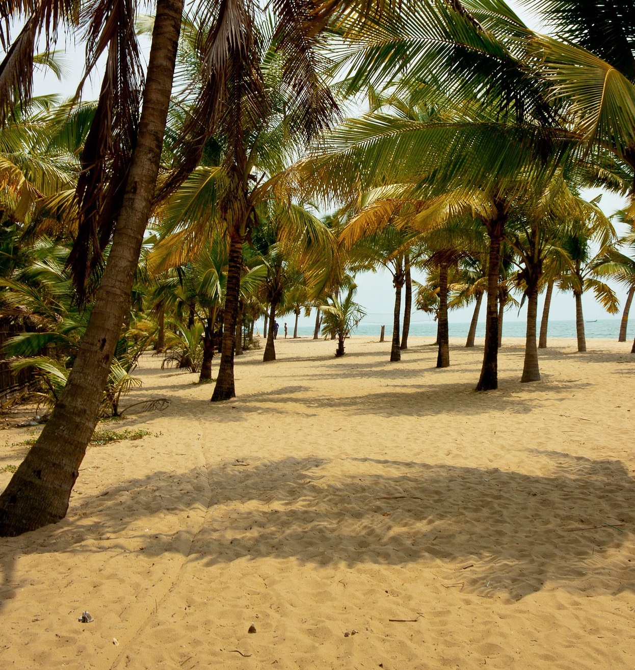 4 Best Things to do around Marari