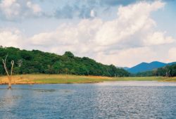 National Parks in India, Kerala