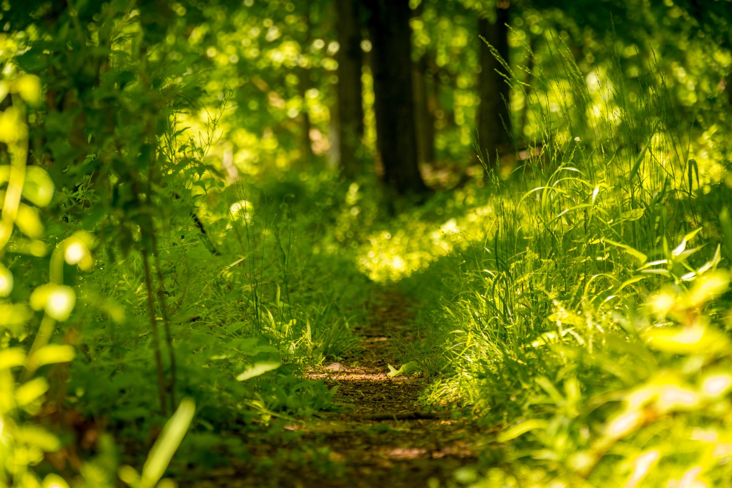 5 Offbeat Places to Visit in Himachal Pradesh