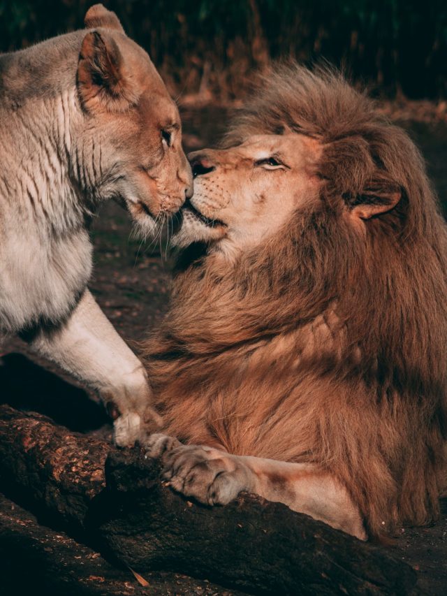 7 Best Places to Visit in Gujarat