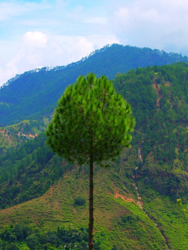 8 Best Places to Visit in Uttarakhand