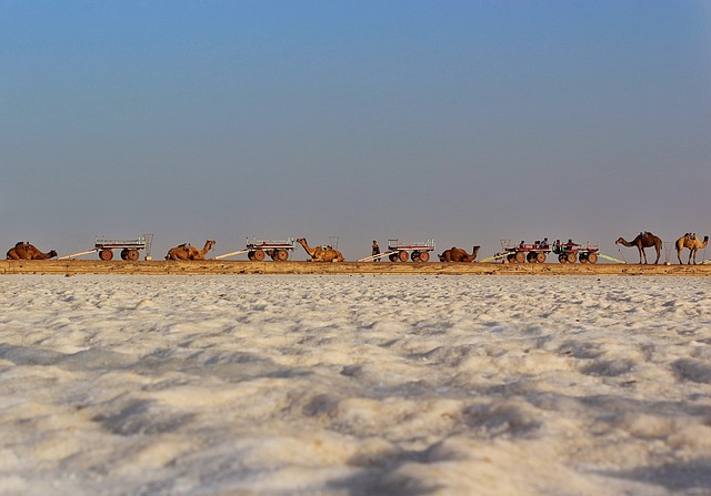 rann-de-kutch