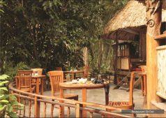 best luxury beach resorts in india