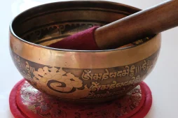 souvenir shopping in india