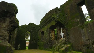 things to do in daman and diu