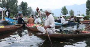 things to do in srinagar