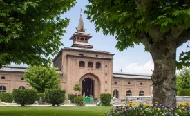 things to do in srinagar