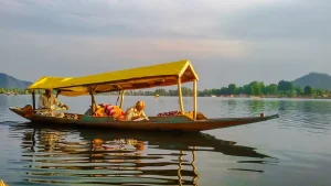things to do in srinagar