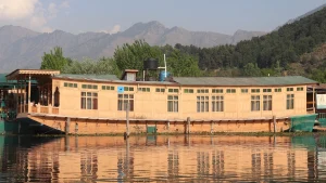things to do in srinagar