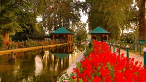 things to do in srinagar