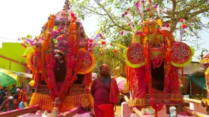 unique holi in india