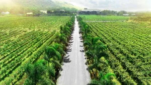 luxury travel guide to india