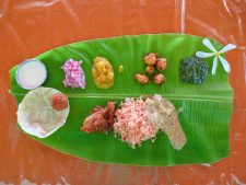 vegetarian food in india for foreigners