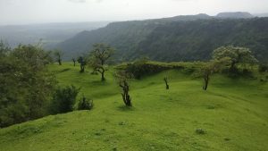 best time to visit alibaug