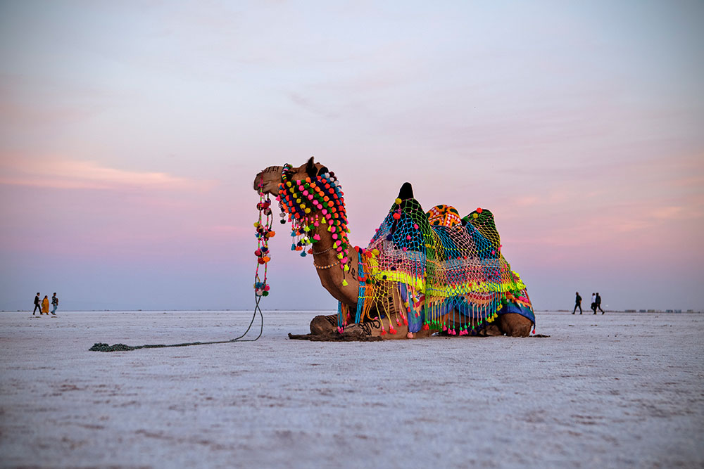 12 Best Things to do in Kutch
