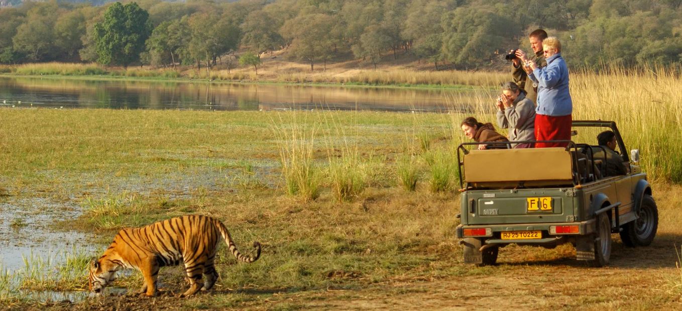 Best time to visit Ranthambore