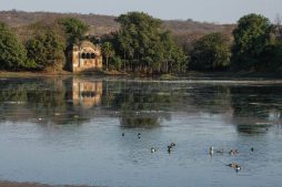 things to do in ranthambore