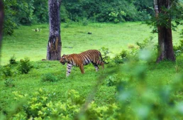 best time to visit thekkady