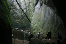 best time to visit wayanad