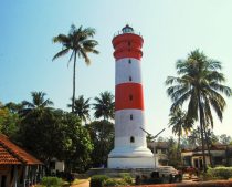 things to do in alleppey