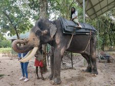 things to do in alleppey