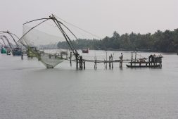 things to do in alleppey