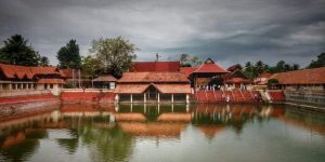 things to do in alleppey