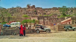 things to do in ranthambore