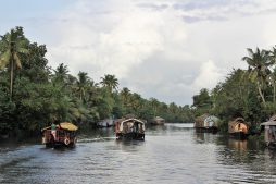 things to do in alleppey