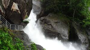 best time to visit wayanad