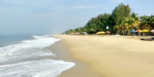 things to do in alleppey
