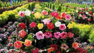 best time to visit thekkady