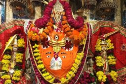 things to do in ranthambore