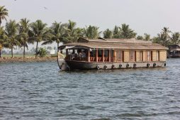 things to do in alleppey