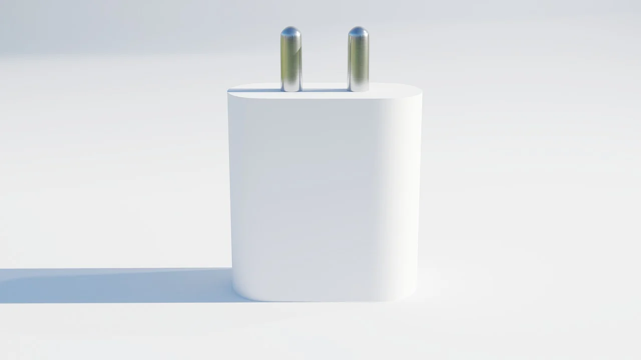 What power adapter do foreigners need in India?