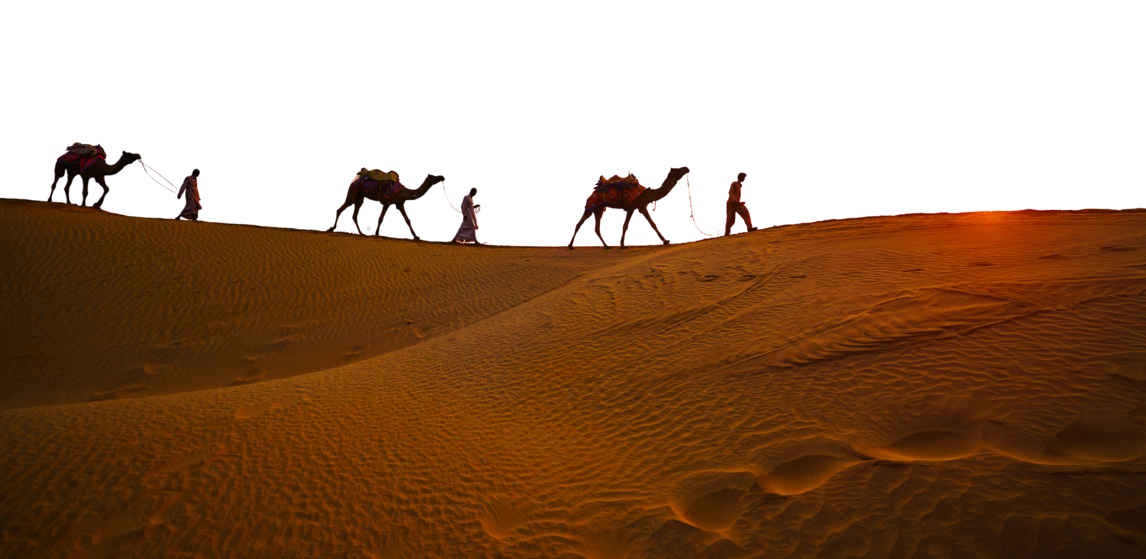 ROYAL PALACES & DESERT LANDSCAPES